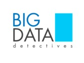 Logo Big Data Detectives