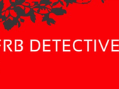 Logo Frb Detectives
