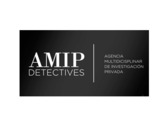 Logo AMIP Detectives