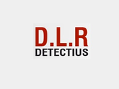 Dlr Detectives