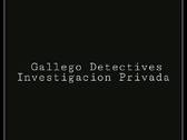 Logo Gallego Detectives