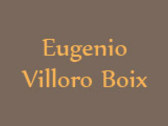 Eugenio Villoro Boix